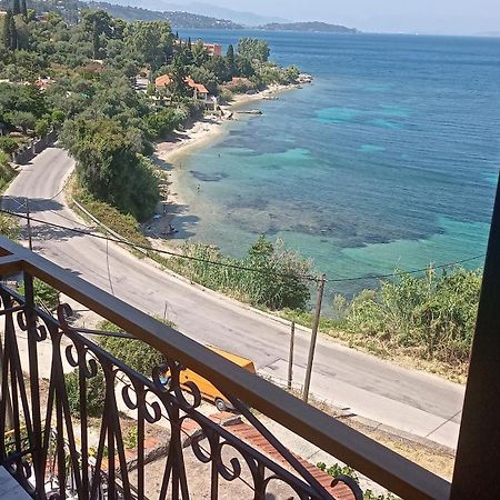 Corfu Bay Sea View Apartments 100M From The Beach 贝尼蔡斯 外观 照片